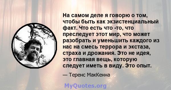 На самом деле я говорю о том, чтобы быть как экзистенциальный факт. Что есть что -то, что преследует этот мир, что может разобрать и уменьшить каждого из нас на смесь террора и экстаза, страха и дрожания. Это не идея,