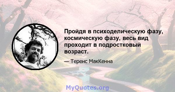 Пройдя в психоделическую фазу, космическую фазу, весь вид проходит в подростковый возраст.