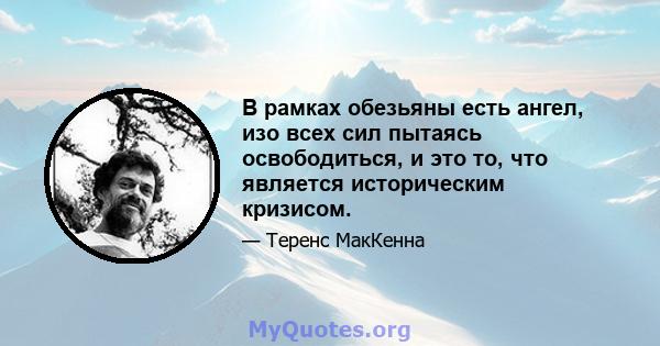 В рамках обезьяны есть ангел, изо всех сил пытаясь освободиться, и это то, что является историческим кризисом.