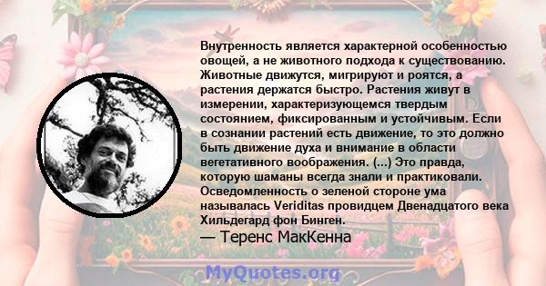 Внутренность является характерной особенностью овощей, а не животного подхода к существованию. Животные движутся, мигрируют и роятся, а растения держатся быстро. Растения живут в измерении, характеризующемся твердым