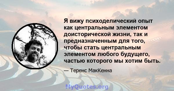 Я вижу психоделический опыт как центральным элементом доисторической жизни, так и предназначенным для того, чтобы стать центральным элементом любого будущего, частью которого мы хотим быть.