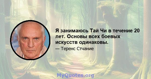 Я занимаюсь Тай Чи в течение 20 лет. Основы всех боевых искусств одинаковы.