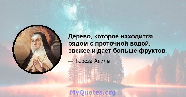 Дерево, которое находится рядом с проточной водой, свежее и дает больше фруктов.