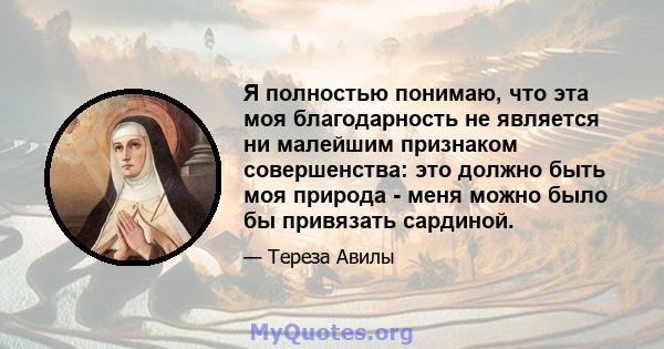 Я полностью понимаю, что эта моя благодарность не является ни малейшим признаком совершенства: это должно быть моя природа - меня можно было бы привязать сардиной.