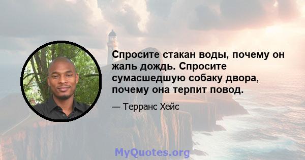 Спросите стакан воды, почему он жаль дождь. Спросите сумасшедшую собаку двора, почему она терпит повод.