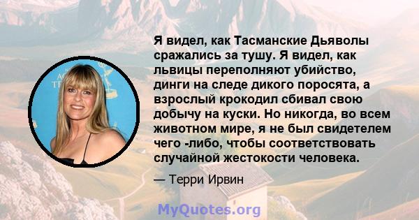 Я видел, как Тасманские Дьяволы сражались за тушу. Я видел, как львицы переполняют убийство, динги на следе дикого поросята, а взрослый крокодил сбивал свою добычу на куски. Но никогда, во всем животном мире, я не был