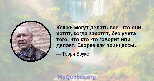 Кошки могут делать все, что они хотят, когда захотят, без учета того, что кто -то говорит или делает. Скорее как принцессы.