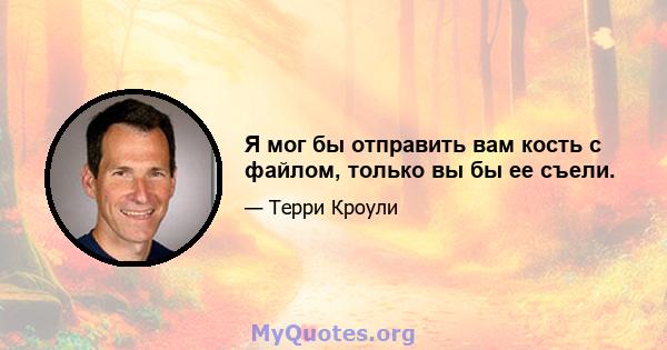 Я мог бы отправить вам кость с файлом, только вы бы ее съели.