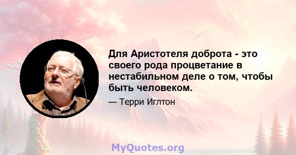 Для Аристотеля доброта - это своего рода процветание в нестабильном деле о том, чтобы быть человеком.