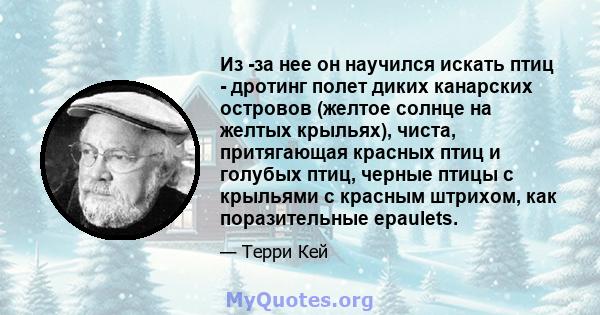 Из -за нее он научился искать птиц - дротинг полет диких канарских островов (желтое солнце на желтых крыльях), чиста, притягающая красных птиц и голубых птиц, черные птицы с крыльями с красным штрихом, как поразительные 