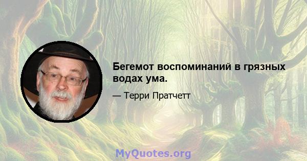 Бегемот воспоминаний в грязных водах ума.