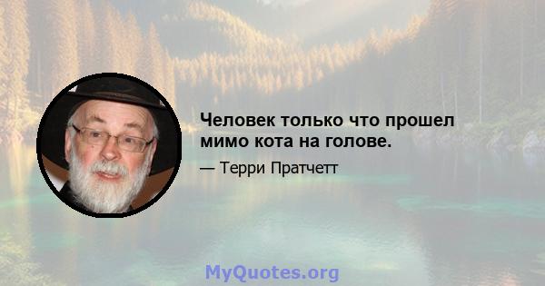 Человек только что прошел мимо кота на голове.