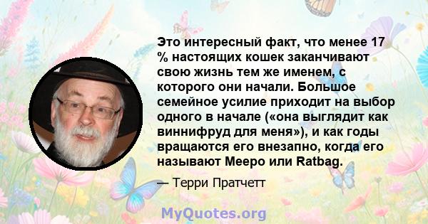 Это интересный факт, что менее 17 % настоящих кошек заканчивают свою жизнь тем же именем, с которого они начали. Большое семейное усилие приходит на выбор одного в начале («она выглядит как виннифруд для меня»), и как