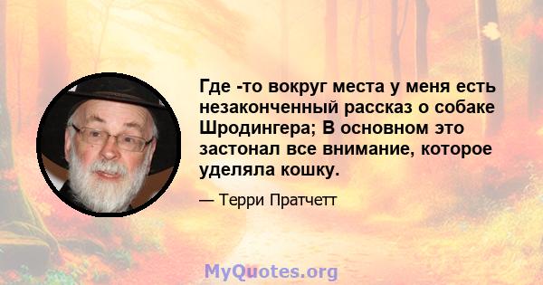 Где -то вокруг места у меня есть незаконченный рассказ о собаке Шродингера; В основном это застонал все внимание, которое уделяла кошку.