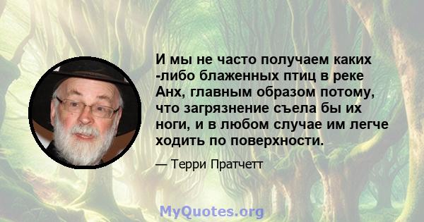 И мы не часто получаем каких -либо блаженных птиц в реке Анх, главным образом потому, что загрязнение съела бы их ноги, и в любом случае им легче ходить по поверхности.