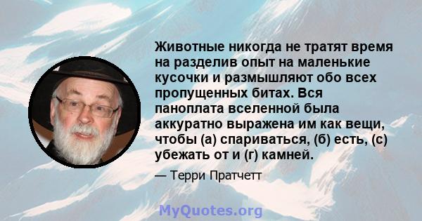 Животные никогда не тратят время на разделив опыт на маленькие кусочки и размышляют обо всех пропущенных битах. Вся паноплата вселенной была аккуратно выражена им как вещи, чтобы (а) спариваться, (б) есть, (c) убежать