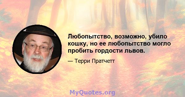 Любопытство, возможно, убило кошку, но ее любопытство могло пробить гордости львов.