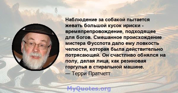 Наблюдение за собакой пытается жевать большой кусок ириски - времяпрепровождение, подходящее для богов. Смешанное происхождение мистера Фусспота дало ему ловкость челюсти, которая была действительно потрясающей. Он