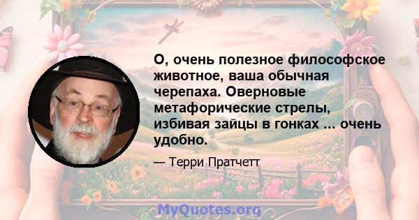 О, очень полезное философское животное, ваша обычная черепаха. Оверновые метафорические стрелы, избивая зайцы в гонках ... очень удобно.