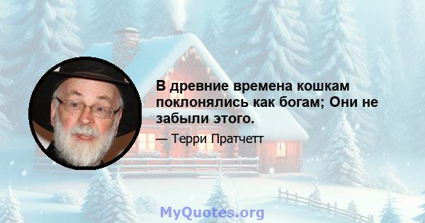 В древние времена кошкам поклонялись как богам; Они не забыли этого.