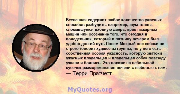 Вселенная содержит любое количество ужасных способов разбудить, например, шум толпы, сломавшуюся входную дверь, крик пожарных машин или осознание того, что сегодня в понедельник, который в пятницу вечером был удобно