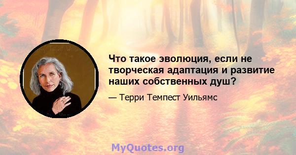 Что такое эволюция, если не творческая адаптация и развитие наших собственных душ?