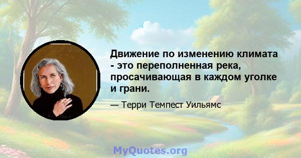 Движение по изменению климата - это переполненная река, просачивающая в каждом уголке и грани.