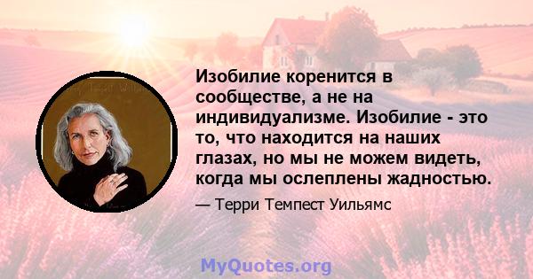 Изобилие коренится в сообществе, а не на индивидуализме. Изобилие - это то, что находится на наших глазах, но мы не можем видеть, когда мы ослеплены жадностью.