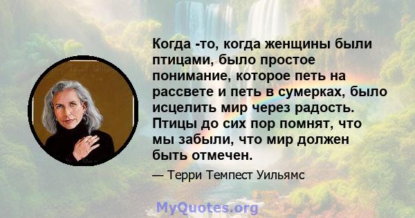 Когда -то, когда женщины были птицами, было простое понимание, которое петь на рассвете и петь в сумерках, было исцелить мир через радость. Птицы до сих пор помнят, что мы забыли, что мир должен быть отмечен.