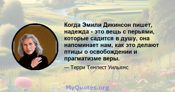 Когда Эмили Дикинсон пишет, надежда - это вещь с перьями, которые садится в душу, она напоминает нам, как это делают птицы о освобождении и прагматизме веры.