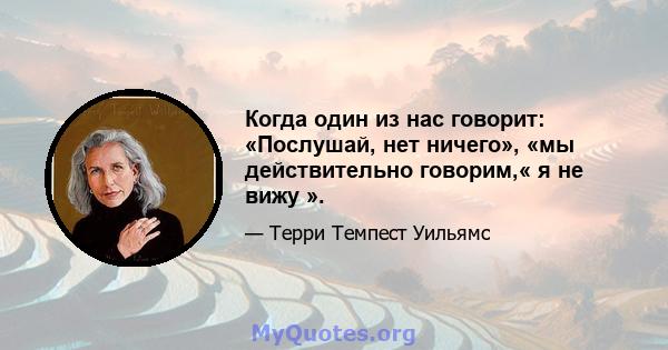 Когда один из нас говорит: «Послушай, нет ничего», «мы действительно говорим,« я не вижу ».