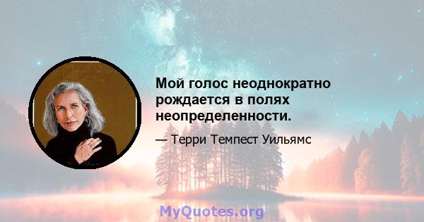 Мой голос неоднократно рождается в полях неопределенности.