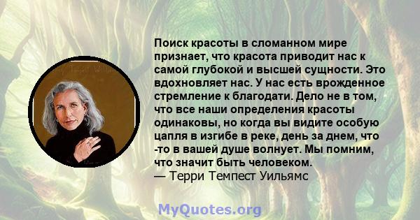 Поиск красоты в сломанном мире признает, что красота приводит нас к самой глубокой и высшей сущности. Это вдохновляет нас. У нас есть врожденное стремление к благодати. Дело не в том, что все наши определения красоты