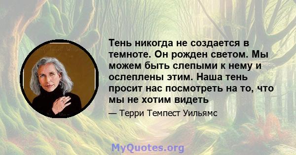 Тень никогда не создается в темноте. Он рожден светом. Мы можем быть слепыми к нему и ослеплены этим. Наша тень просит нас посмотреть на то, что мы не хотим видеть