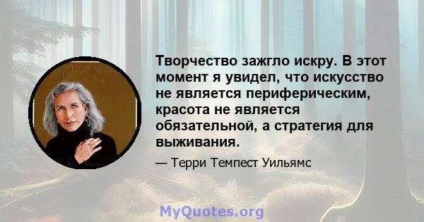 Творчество зажгло искру. В этот момент я увидел, что искусство не является периферическим, красота не является обязательной, а стратегия для выживания.