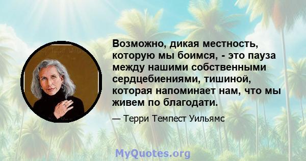 Возможно, дикая местность, которую мы боимся, - это пауза между нашими собственными сердцебиениями, тишиной, которая напоминает нам, что мы живем по благодати.