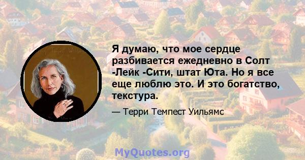 Я думаю, что мое сердце разбивается ежедневно в Солт -Лейк -Сити, штат Юта. Но я все еще люблю это. И это богатство, текстура.