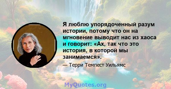 Я люблю упорядоченный разум истории, потому что он на мгновение выводит нас из хаоса и говорит: «Ах, так что это история, в которой мы занимаемся».