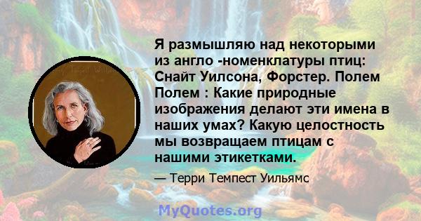 Я размышляю над некоторыми из англо -номенклатуры птиц: Снайт Уилсона, Форстер. Полем Полем : Какие природные изображения делают эти имена в наших умах? Какую целостность мы возвращаем птицам с нашими этикетками.