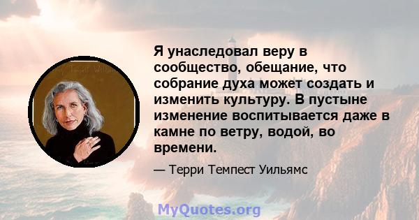 Я унаследовал веру в сообщество, обещание, что собрание духа может создать и изменить культуру. В пустыне изменение воспитывается даже в камне по ветру, водой, во времени.