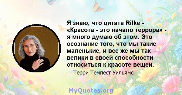 Я знаю, что цитата Rilke - «Красота - это начало террора» - я много думаю об этом. Это осознание того, что мы такие маленькие, и все же мы так велики в своей способности относиться к красоте вещей.