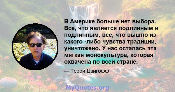 В Америке больше нет выбора. Все, что является подлинным и подлинным, все, что вышло из какого -либо чувства традиции, уничтожено. У нас осталась эта мягкая монокультура, которая охвачена по всей стране.