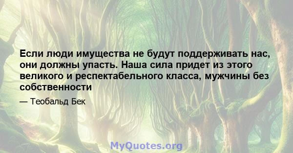 Если люди имущества не будут поддерживать нас, они должны упасть. Наша сила придет из этого великого и респектабельного класса, мужчины без собственности