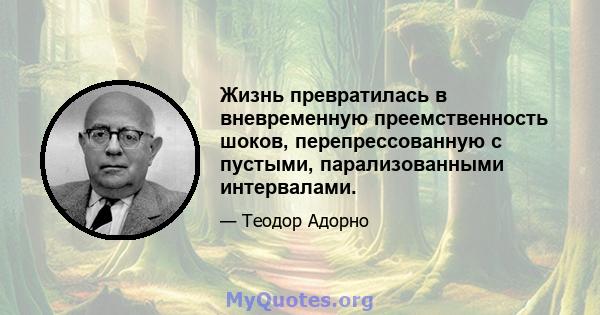 Жизнь превратилась в вневременную преемственность шоков, перепрессованную с пустыми, парализованными интервалами.