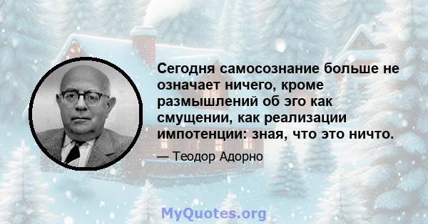 Сегодня самосознание больше не означает ничего, кроме размышлений об эго как смущении, как реализации импотенции: зная, что это ничто.