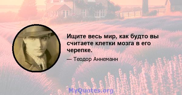 Ищите весь мир, как будто вы считаете клетки мозга в его черепке.