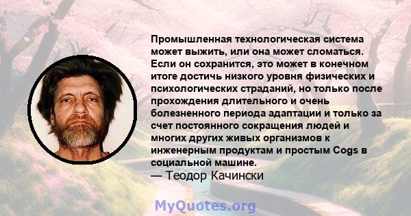 Промышленная технологическая система может выжить, или она может сломаться. Если он сохранится, это может в конечном итоге достичь низкого уровня физических и психологических страданий, но только после прохождения