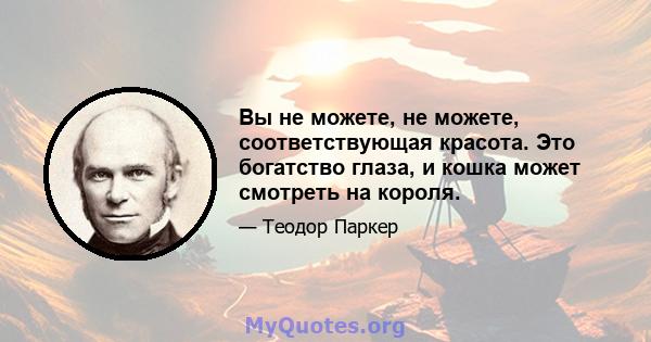 Вы не можете, не можете, соответствующая красота. Это богатство глаза, и кошка может смотреть на короля.