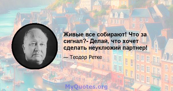 Живые все собирают! Что за сигнал?- Делай, что хочет сделать неуклюжий партнер!