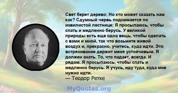 Свет берет дерево; Но кто может сказать нам как? Сдумный червь поднимается по извилистой лестнице; Я просыпаюсь, чтобы спать и медленно берусь. У великой природы есть еще одна вещь, чтобы сделать с вами и мной, так что